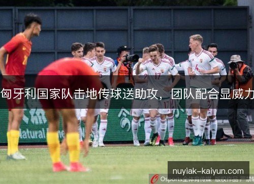 匈牙利国家队击地传球送助攻，团队配合显威力